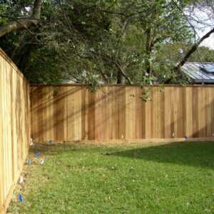 Cedar Fence