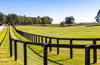 Equestrian Fence