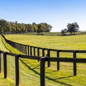 Equestrian Fencing